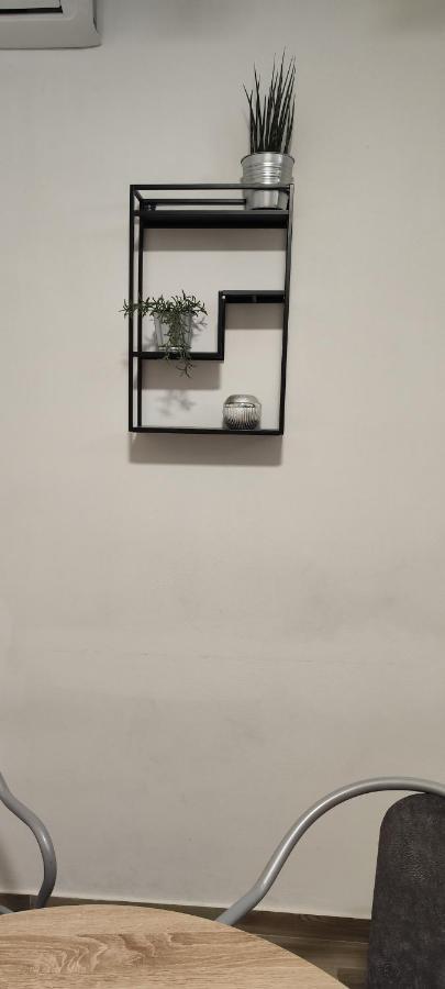 Apartment Damir Pula Zewnętrze zdjęcie